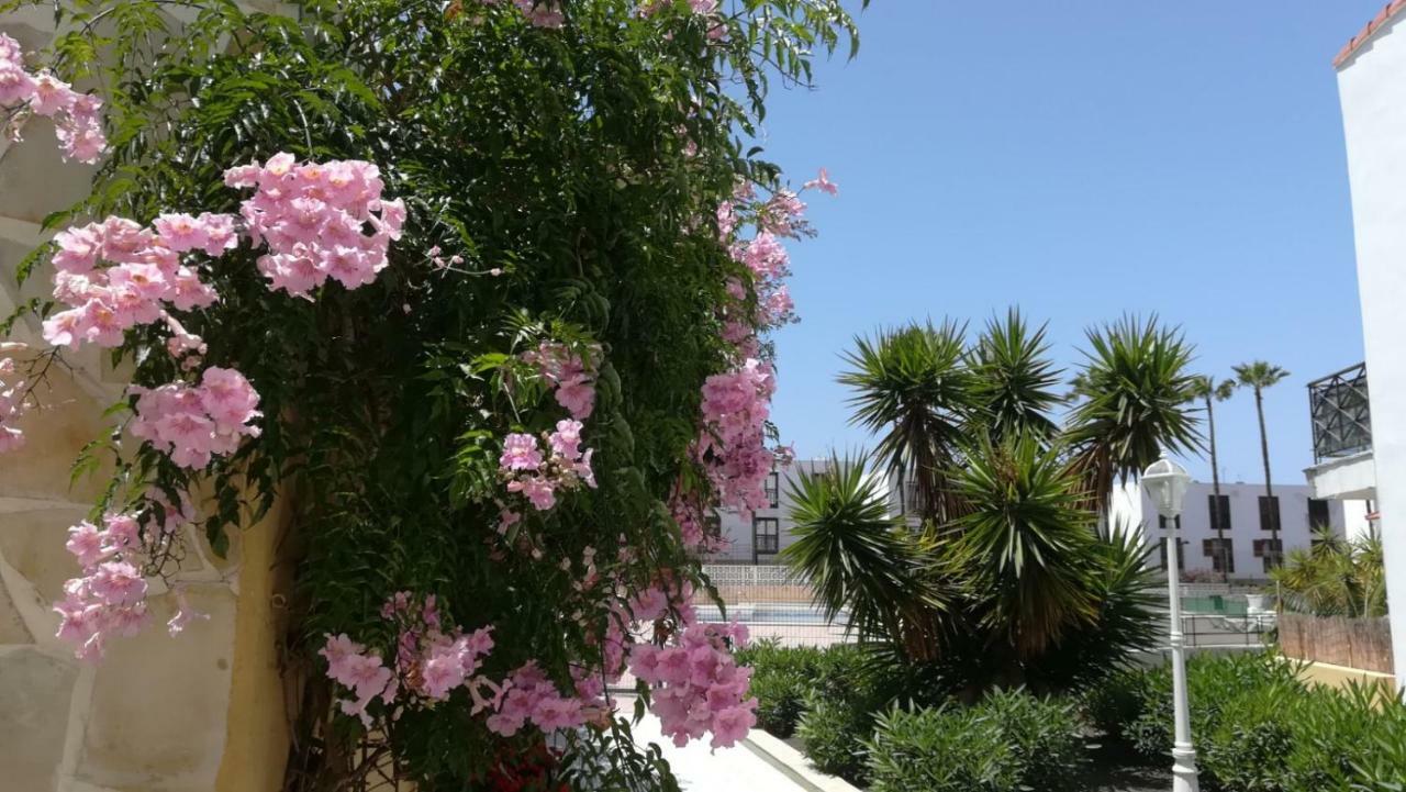 Tenerife Altamar Paradise Playa de las Américas